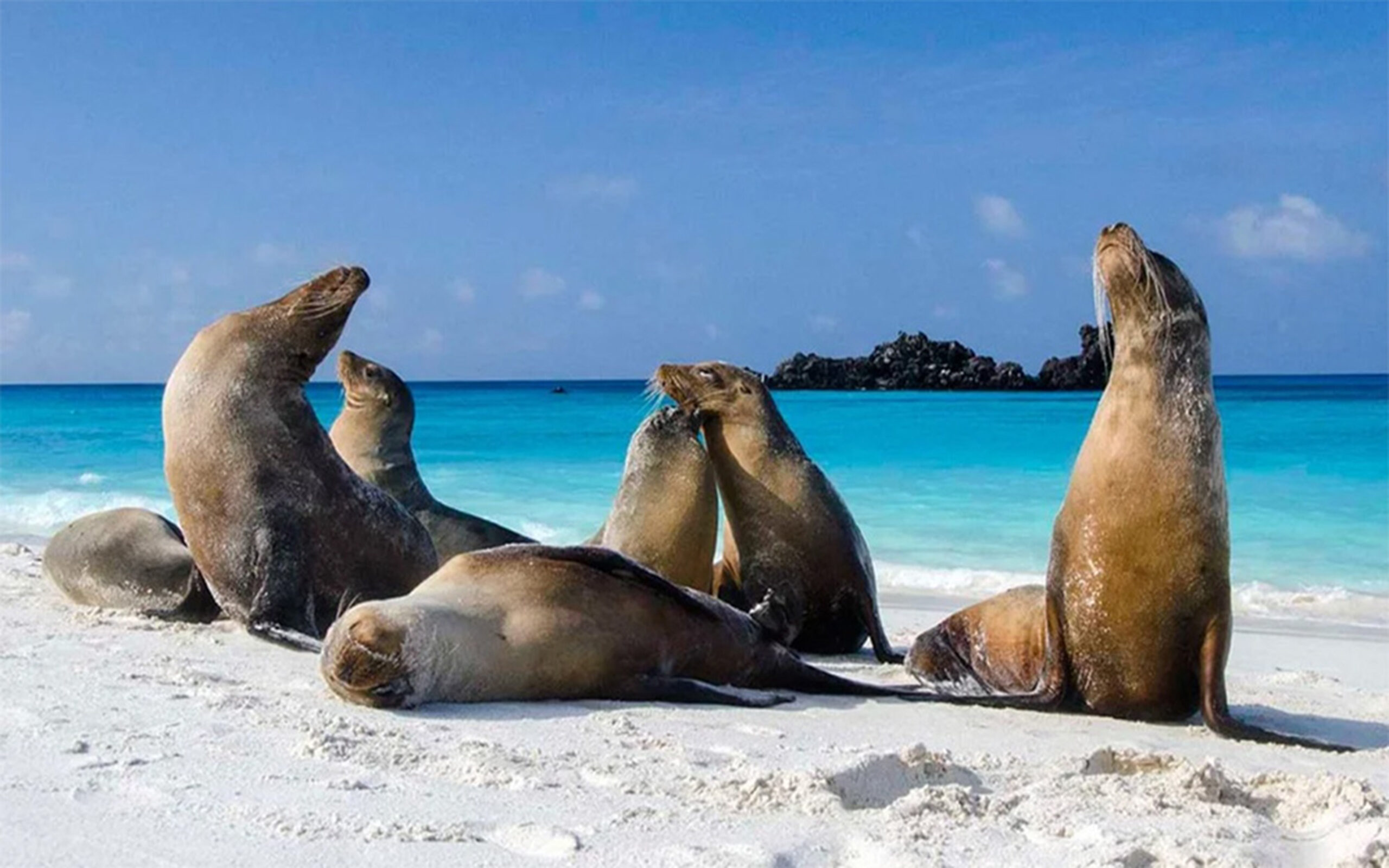 galapagos-Las-Bachas-en-Isla-Santa-Cruz