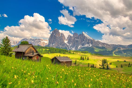 dreamstime_xxl_161006328 alpi di susi