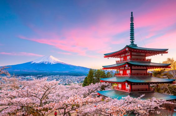 japon-cerezos